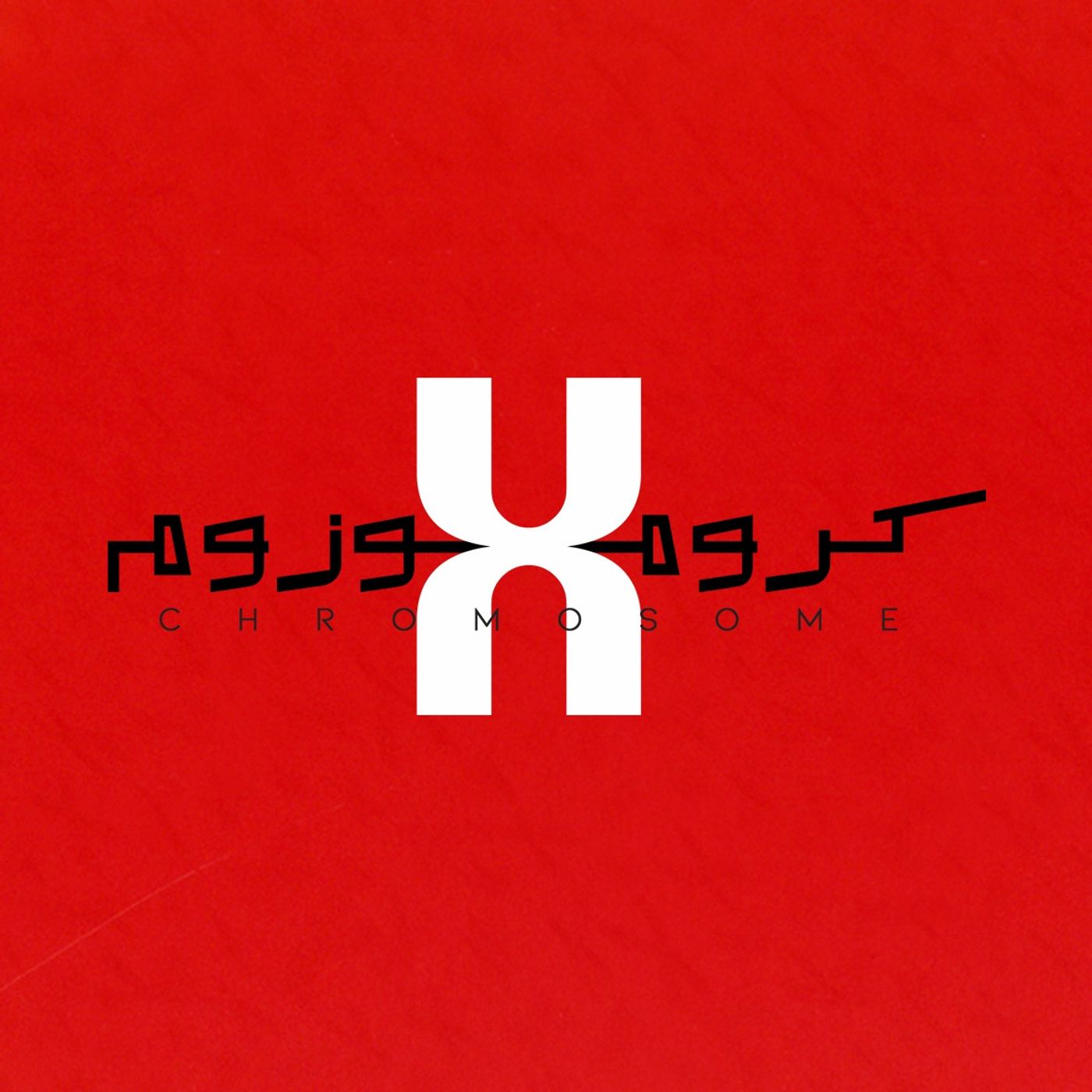 کروموزوم ایکس