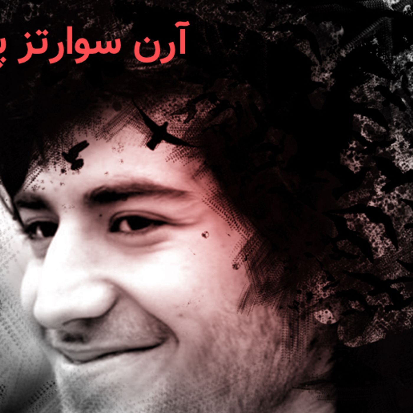 چهل و هفت - ارون سوارتز