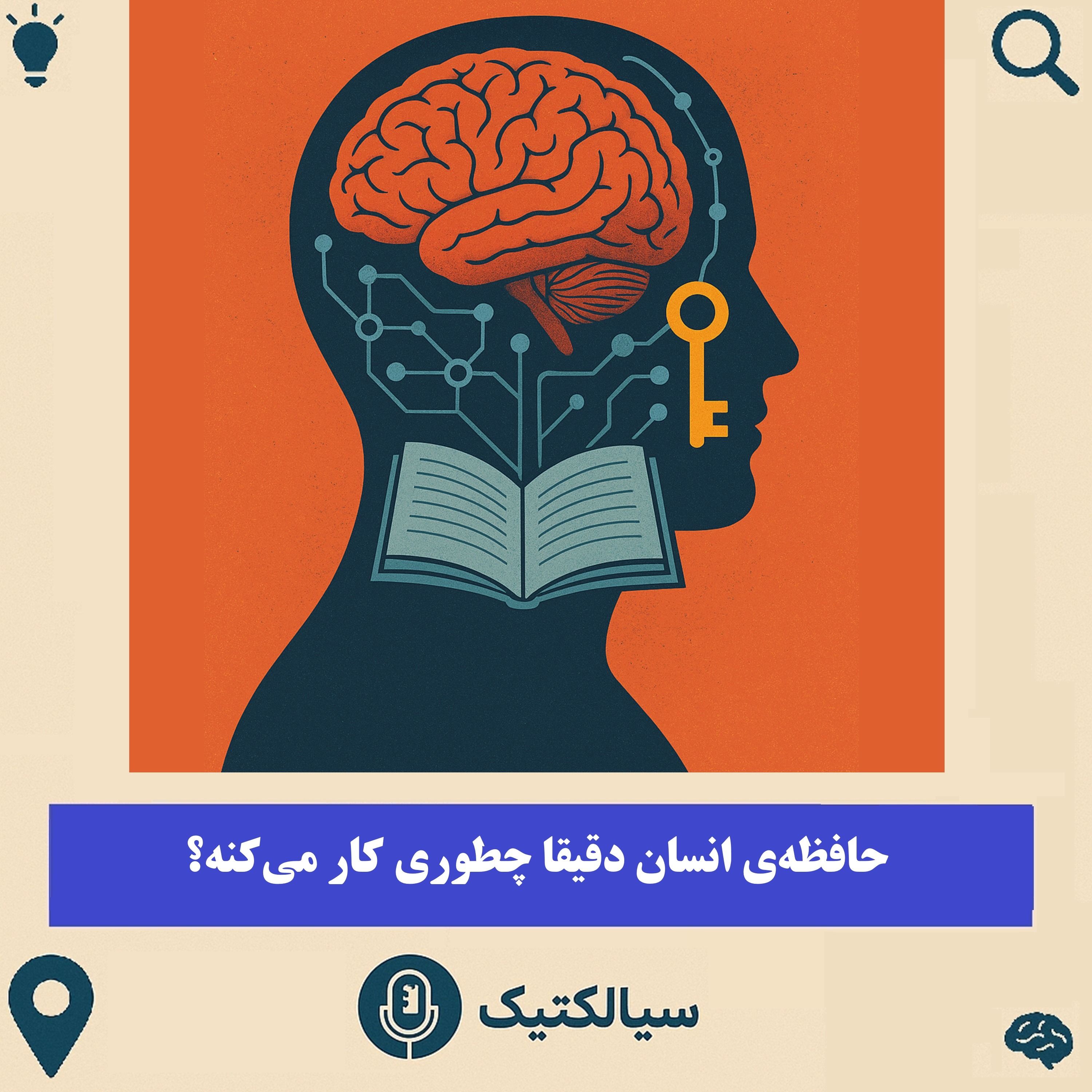سیالکتیک: حافظه‌ی انسان دقیقا چطوری کار می‌کنه؟