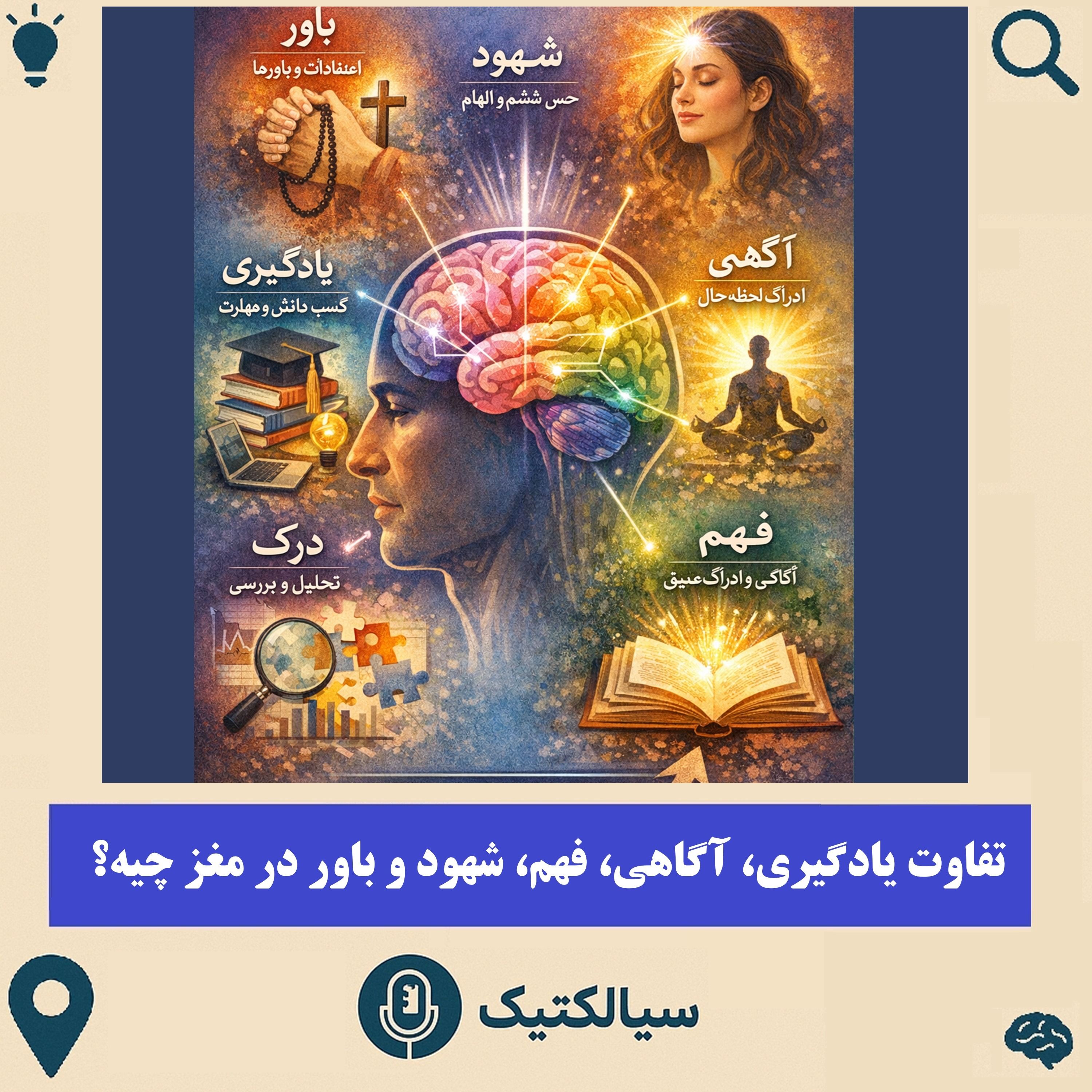 سیالکتیک: تفاوت یادگیری، آگاهی، فهم، شهود و باور در مغز چیه؟