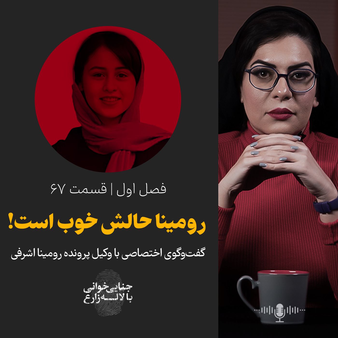 قسمت ۶۷ | رومینا حالش خوب است! |‌ گفت‌وگوی اختصاصی با وکیل پرونده رومینا اشرفی