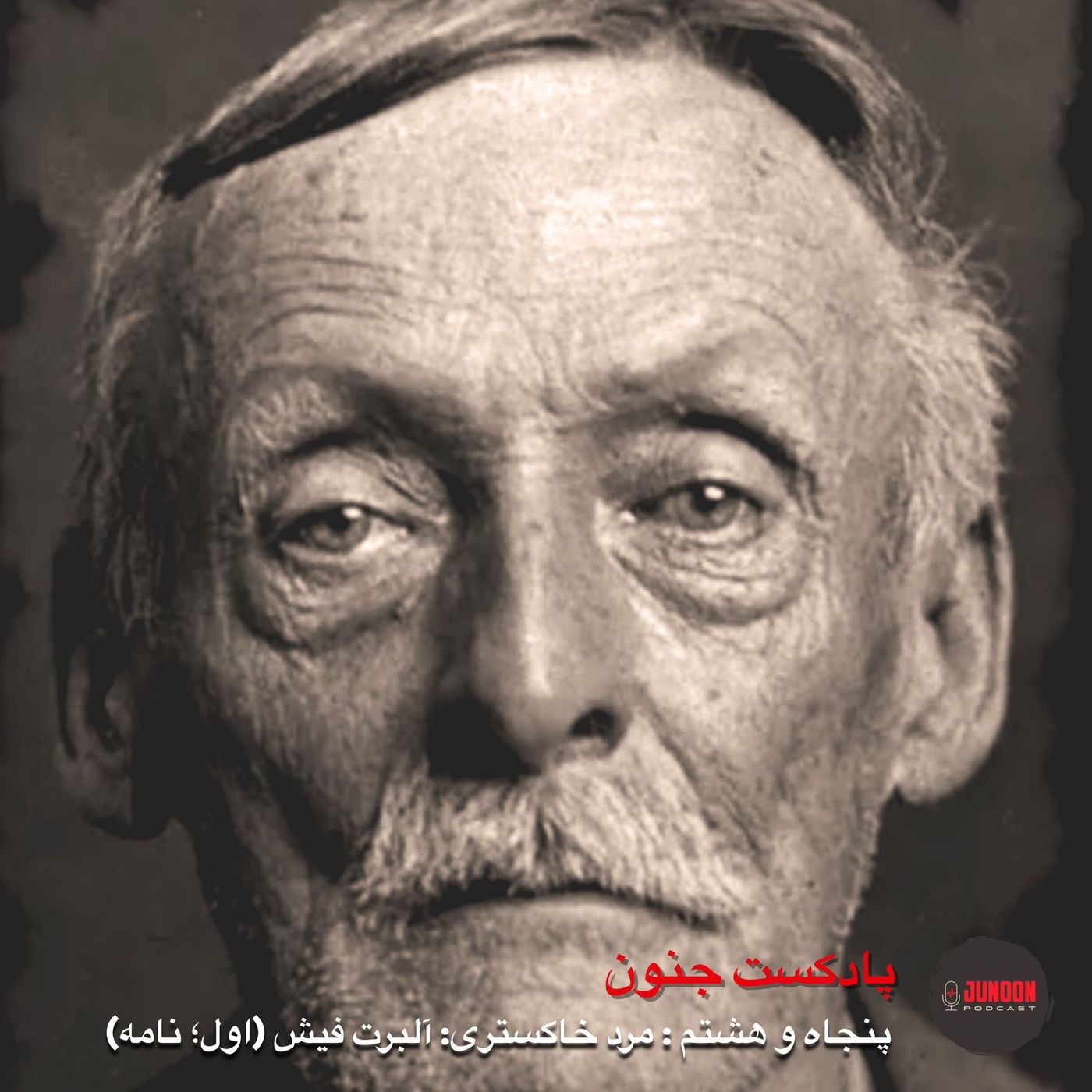 ۵۸- آلبرت فیش؛ پیرمرد خاکستری (اول؛ نامه)