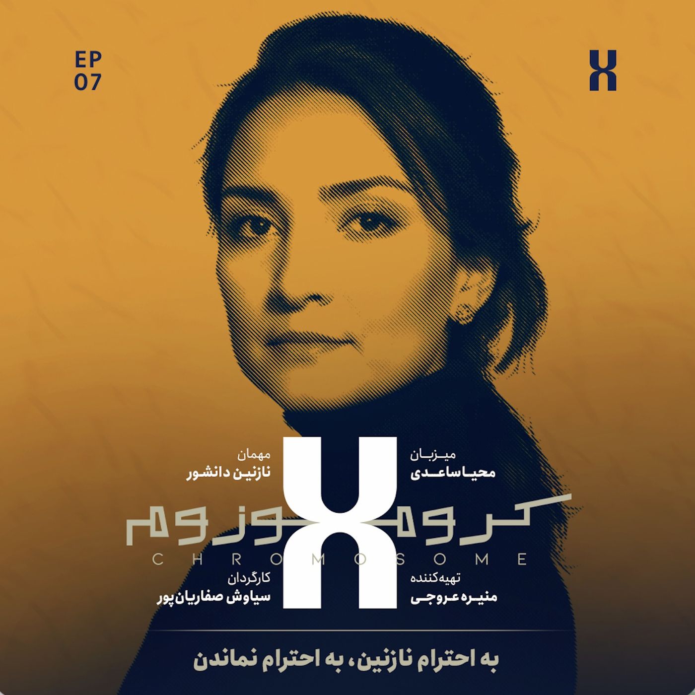 کروموزوم ایکس ۶ | نازنین دانشور