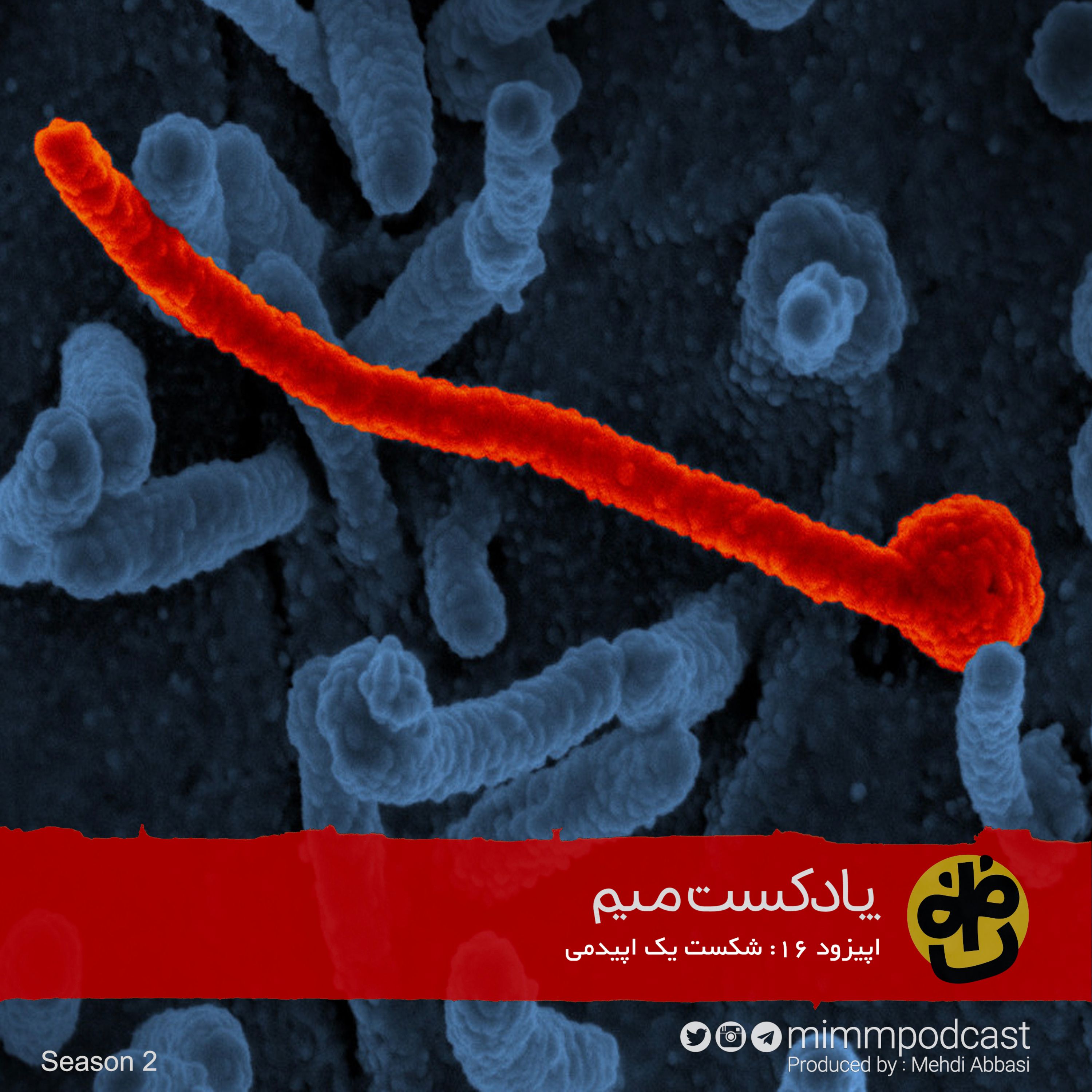 اپیزود شانزدهم: شکست یک اپیدمی