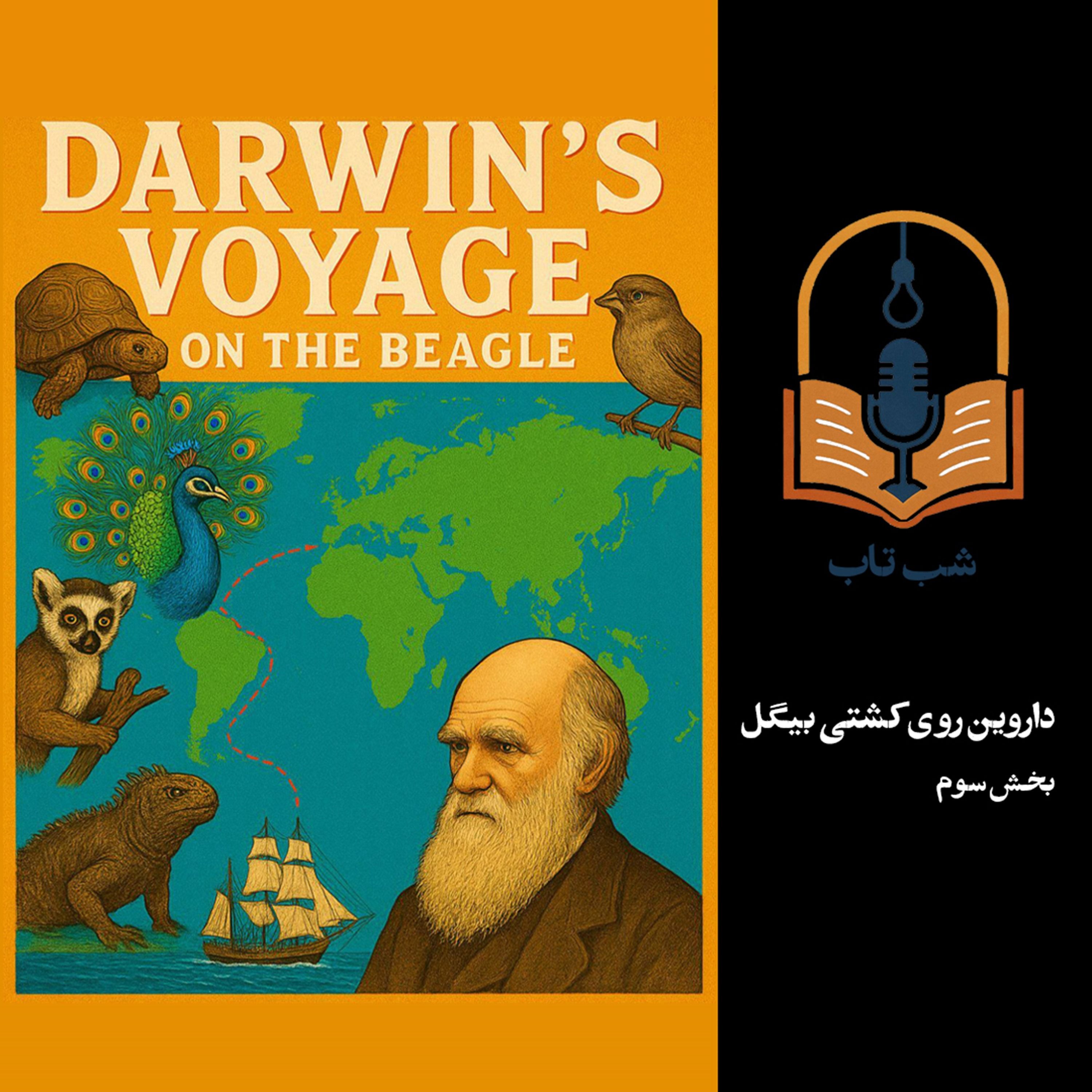 شب تاب: داروین روی کشتی بیگل - بخش سوم
