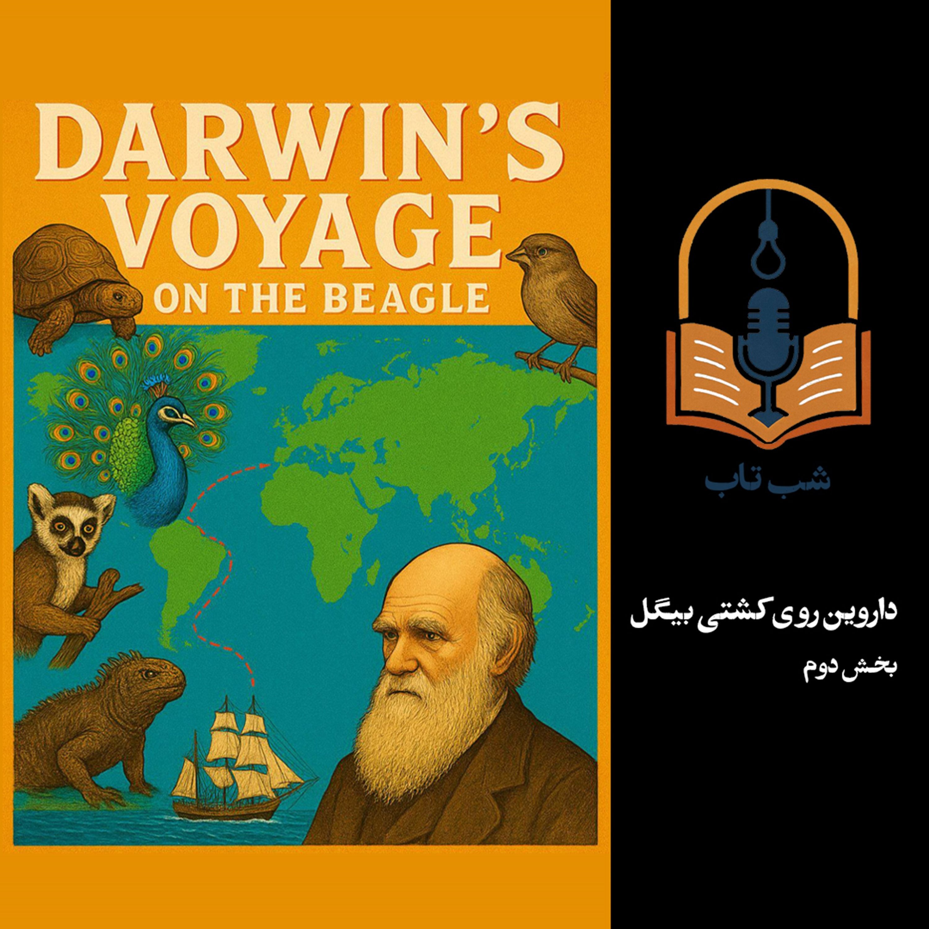 شب تاب: داروین روی کشتی بیگل - بخش دوم