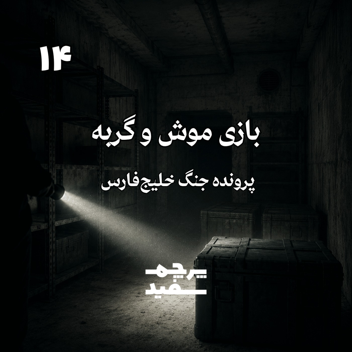 بازی موش و گربه  - پرونده جنگ خلیج فارس - قسمت ۱۴